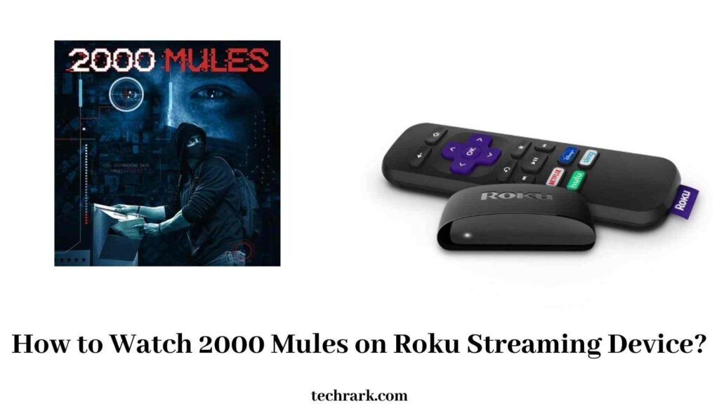 2000 Mules on Roku