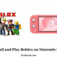 Roblox on Nintendo Switch Lite
