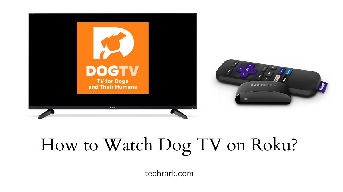 Dog TV on Roku